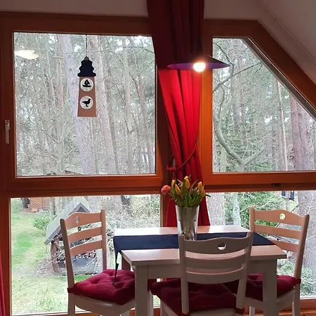 Ferienhaus Knopf -Direkt Am Kuestenwald Ostseebad Ostseebad Zinnowitz Exterior foto